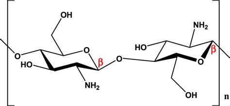 Chitosan Structure Showing Glycosidic Linkage β 1→4 Download