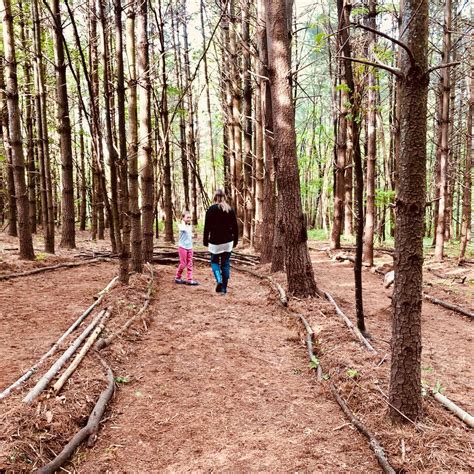 How We Built Our Forest Meditation Labyrinth Naturally Grateful