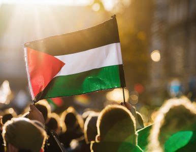 Protesto Pela Liberdade Palestina Firefly Pessoas Desfocadas Reflexo