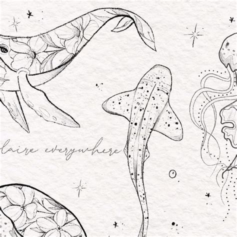 Claire Benson On Instagram Bunch Of Sea Creatures Ive Drawn Some I