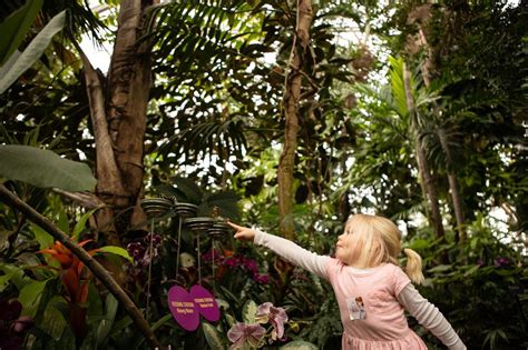 See Thousands Of Butterflies Fly Free At Frederik Meijer Gardens