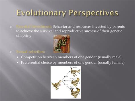 Ppt Introduction To Human Sexuality Powerpoint Presentation Free Download Id2642372