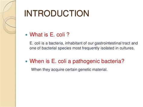 A new pathogenic e coli francisco muñoz maestre