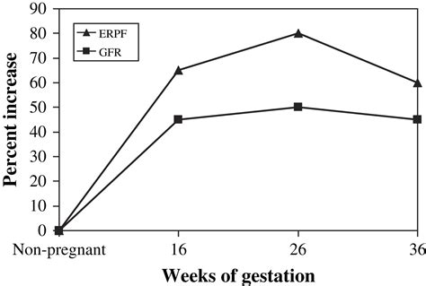 Anatomic And Functional Changes Of The Upper Urinary Tract During