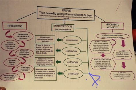 Mapa Conceptual De Titulos De Credito Donos