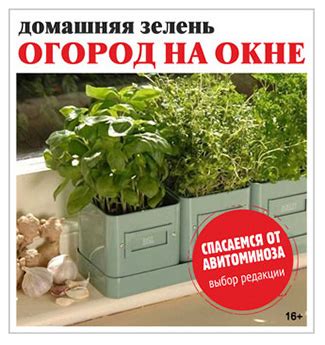 Новости Волгодонска сегодня - Блокнот Волгодонск