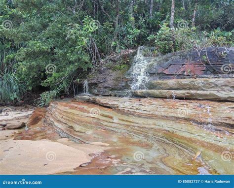 Similajau National Park Stock Image Image Of Soil Creek 85082727