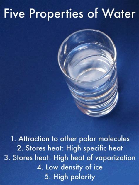 Five Incredible Properties Of Water Owlcation