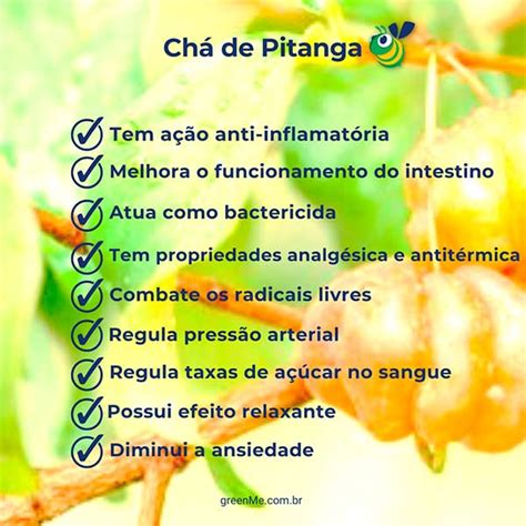 Benef Cios Da Pitanga Fruta Sensacional E Brasileira Greenme