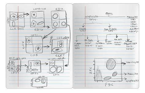 Flow Cytometry Experiment Process—spectral Versus Conventional Thermo