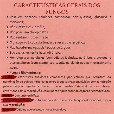 Características gerais dos fungos p 1 Microbiologia e Imunologia