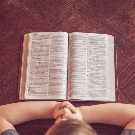 Christian Parenting And What Age To Talk About Sex Education