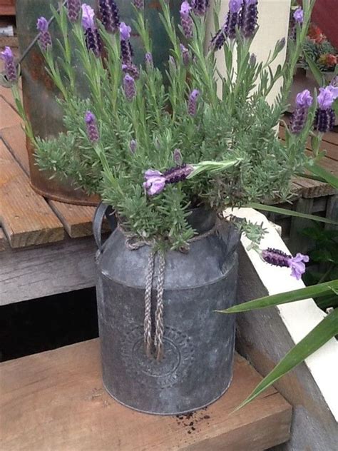 44 Useful Repurpose Ideas For Vintage Milk Can In 2024 Vintage Milk