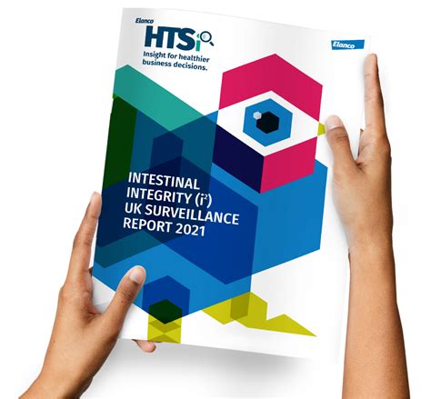 Mbc Marketing Branding And Creative Advertising Campaign For Htsi