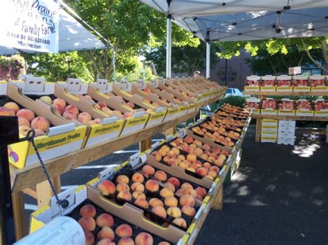 Peaches Free Stock Photo Public Domain Pictures