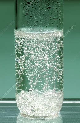 Reaction Of Sodium Carbonate In Acid Stock Image A500 0758