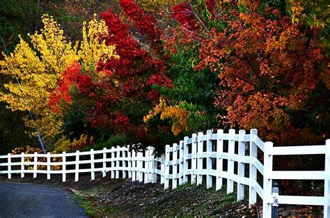 fall, Colors, Nature, Landscape, Beauty, Beautiful, Autumn, Tree ...
