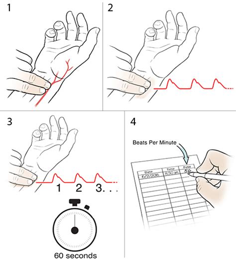 Step By Step Taking Your Pulse At Your Wrist Saint Lukes Health System