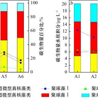 Picophytoplankton Carbon Biomass Line Chart And Their Percentage