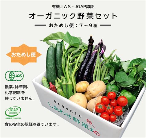 1113 野菜 オーガニック 野菜セット おためしⅯ 旬の有機野菜 7～9袋 しあわせ野菜畑 静岡県掛川市｜ふるさとチョイス ふるさと