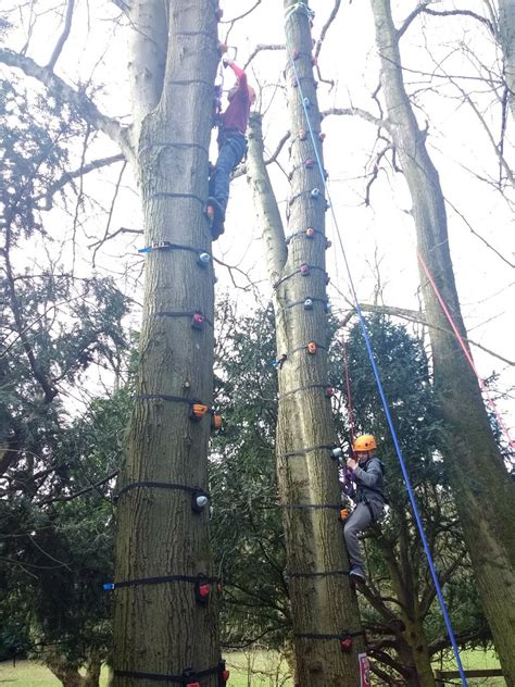 Tree Climbing Blackwell Adventure