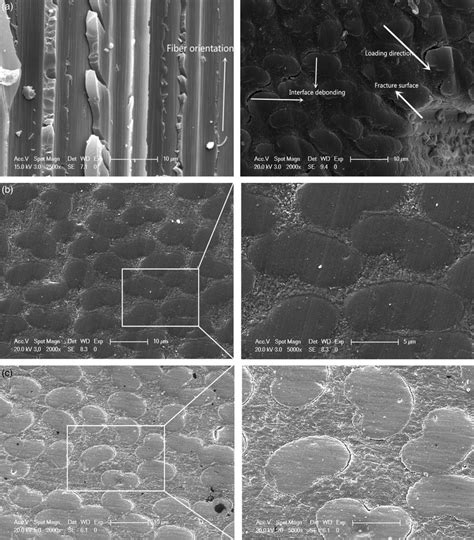 A Sem Images Of The Fracture Surfaces Showing Fiber Matrix Interface