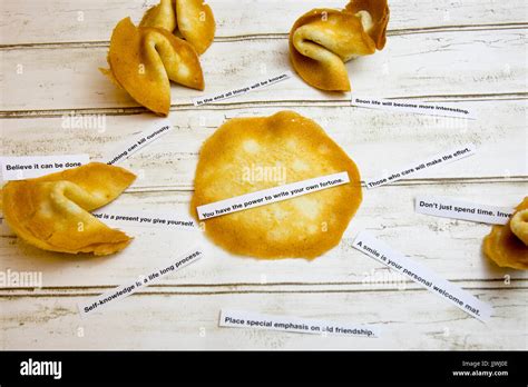165 Best Fortune Cookie Sayings And Quotes Inspirations💯 Investigações