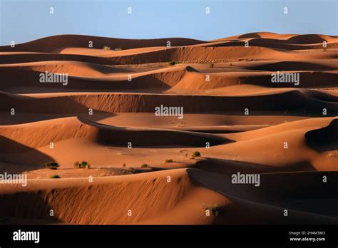 Saudi Arabia Desert Photo By Tariq Almutlaq Stock Photo Alamy