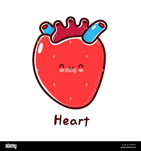 nette gluecklich lustige menschliche herz organ charakter vektor flache linie cartoon kawaii