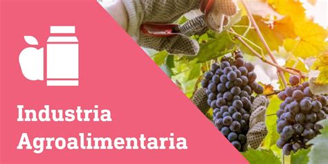 Industria Agroalimentaria C Marabilbao C Mara De Comercio De Bilbao