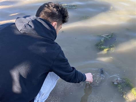 Bluegill Release - Toledo Public Schools