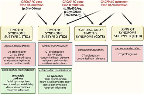 Frontiers Geno And Phenotypic Characteristics And Clinical Outcomes