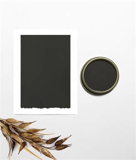 Black Ash Madebypaint