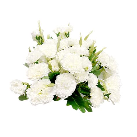 White Carnation Centerpieces