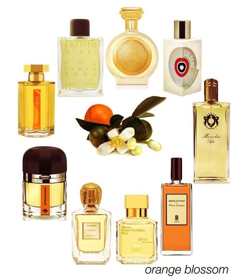 Best Orange Blossom Perfumes Atelier Yuwaciaojp