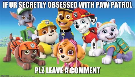 PAW Patrol Latest Memes Imgflip