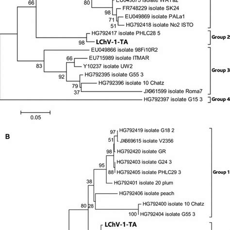 Phylogenetic Trees Derived From Aligned Rdrp And Hsp70h Nucleotide Nt