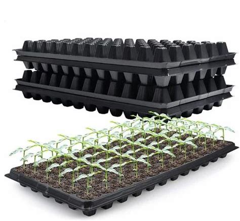 Hips Nursery Seedling Tray Mm Mm X Mm At Rs Piece In Rajkot