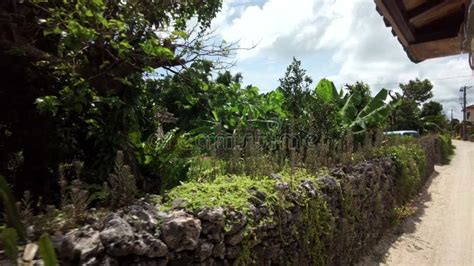 Typical And Traditional Houses With A Tiled Roof In Taketomi Island