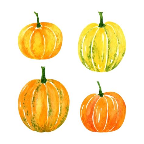 Premium Vector Watercolor Set Of Orange And Yellow Pumpkins Isolated