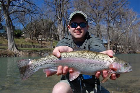 Find the best fishing spots after trout stocking wv concludes 1