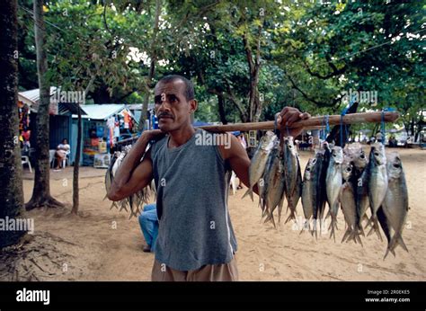 Man Selling Fish Selling Fish On Sosua Beach Dominican Republic