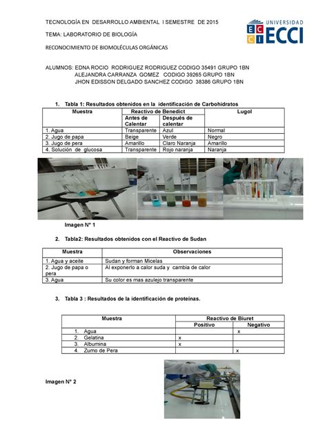 Laboratorio Biomoleculas Org Nicas Tema Laboratorio De Biolog A