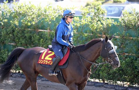 日曜メインレースの注目激走馬東京11rヴィクトリアマイル・g1 Umatoku 馬トク