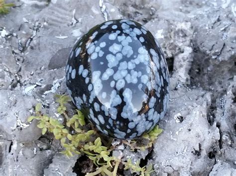 2 Snowflake Obsidian Stones Polished Tumbled Stone The Etsy