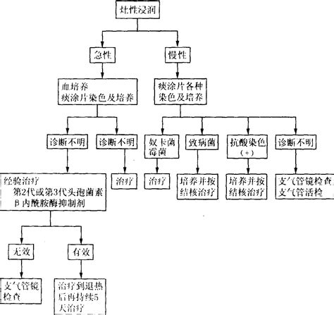 第三节 呼吸系统疾病的检查和鉴别 感染性病 医学