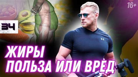 Для чего нужны ЖИРЫ в организме? ВЛИЯНИЕ ЖИРОВ НА МАССУ ТЕЛА // 16 ...