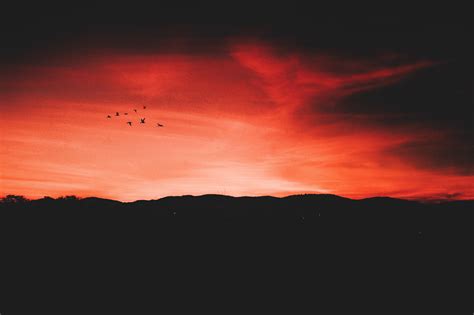 3840x2160 Resolution Sunset Birds Night Sky Hd Wallpaper