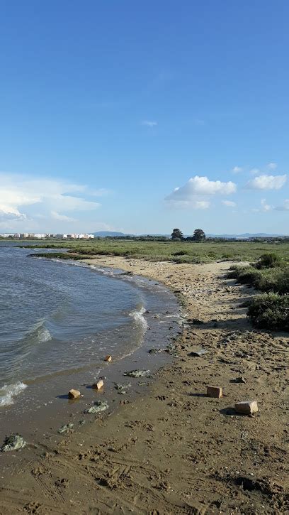 Praia Do Cais Novo Alhos Vedros