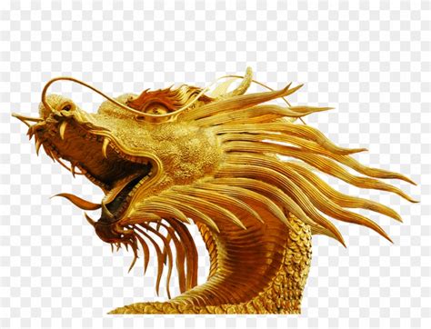 Dragon Vector Golden Dragon Head No Background Hd Png Download